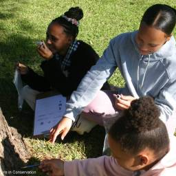 18-clt-girls-in-conservation-2024_original